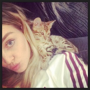  New selfie of Perrie with her and Zayns new kitten