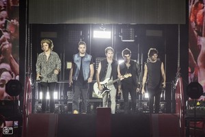  One Direction, Where We Are Tour Amsterdam (24.06.2014) - x