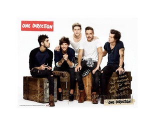  One Direction for Universal Posters.