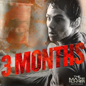  Only three months