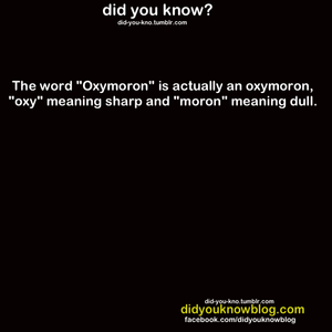  Oxymoron is an Oxymoron