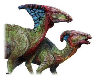  Parasaurolophus pair