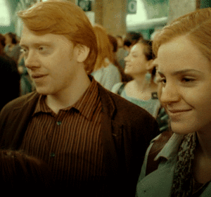  Ron and Hermione Weasley