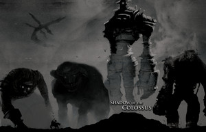  Shadow Of Colossus