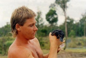  Steve Irwin