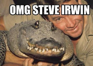  Steve Irwin