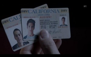  Stiles and Scott's ID