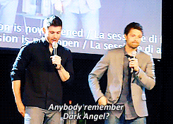  Talking about 'Dark Angel'