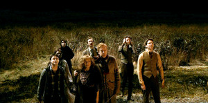  Weasley HP 6