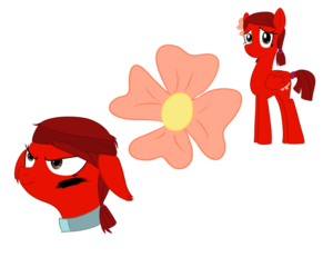 Zoey in mlp form or Zoey's oc