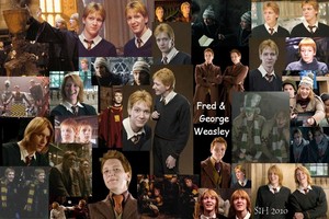  My kegemaran Harry Potter Characters!