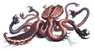 octopus1234