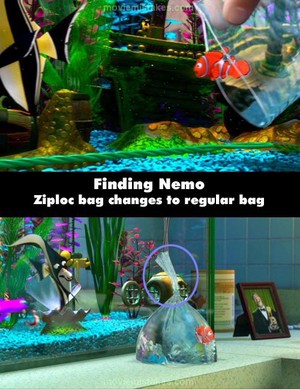  A mistake in finding nemo