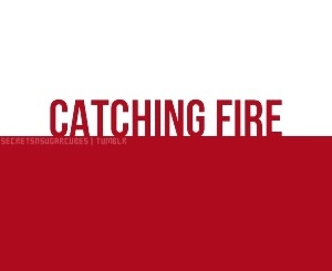  Catching 火, 消防