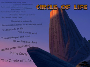  círculo of life