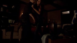  Damon and Elena