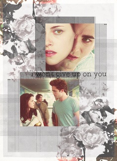  Edward and Bella,Twilight