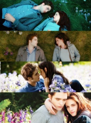  Edward and Bella's Meadow