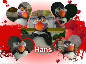  Hans The puffin, پففان