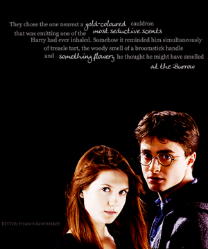 Harry And Ginny Fanart