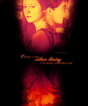  Harry And Ginny Fanart