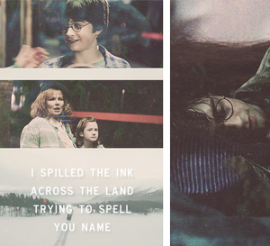  Harry And Ginny