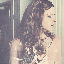  Ron And Hermione