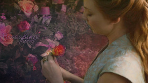 hoa hồng have thorns - Margaery