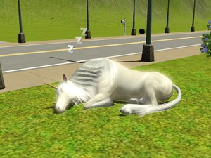  Snoozing Unicorn
