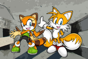  Sonic Pairings - Tails and Marine