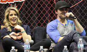  Stephen Amell and Emily Bett Rickards at the panah panel at Walker Stalker Con, March 16th, 2014.