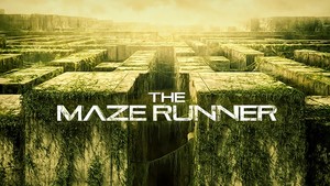  The Maze Runner