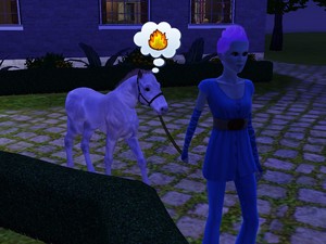  The baby horse is evil!