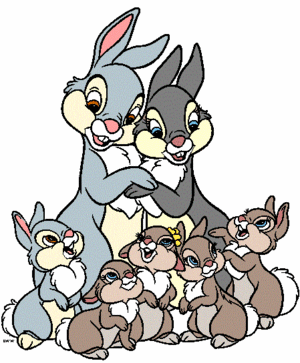  Thumper's Family
