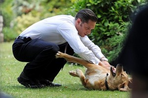  Tom Hardy on Set of Legend with His Dog 'Woodstock'(Woody)
