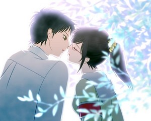 baciare (tsubaki x daisy)