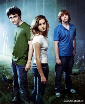  Harry, Ron, and Hermione