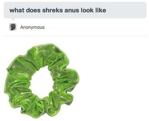  shrek's anus