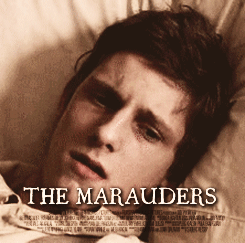  the marauders