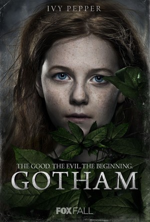 'Gotham' posters