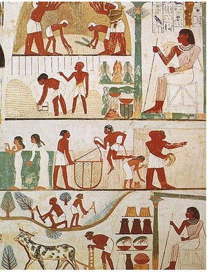 Agriculture in Ancient Egypt
