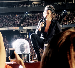  August 1st Harry serenading a fan for her birthday
