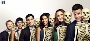  बोन्स - Season 10 - Cast Promotional चित्रो