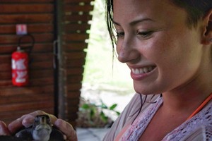 Demi became a Godparent of a Turtle at the Meridien Resort in Bora Bora - August 2014