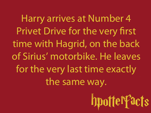  Harry Potter facts