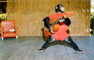  Monkey gitar