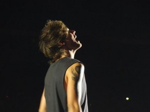  One Direction, Where We Are Tour, Toronto (02.08.2014) - x
