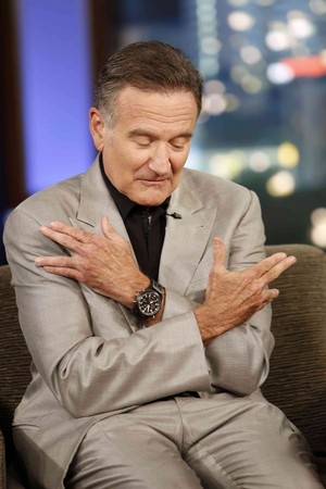  Robin Williams (2013)