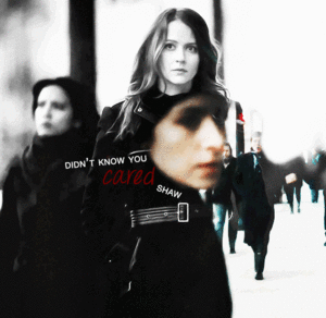  Root & Shaw