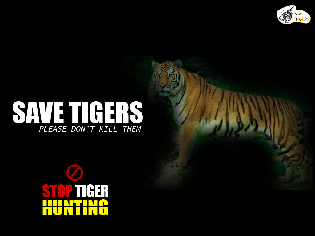 Stop tiger hunting